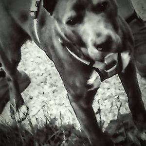 Meet your Posher, Cristian